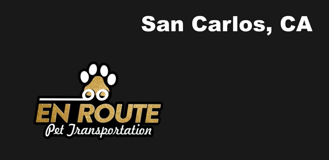 Best VIP private luxury pet ground transportation San Carlos, California.