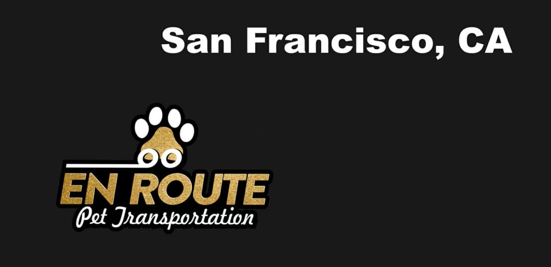 Best VIP private luxury pet ground transportation San Francisco, California.