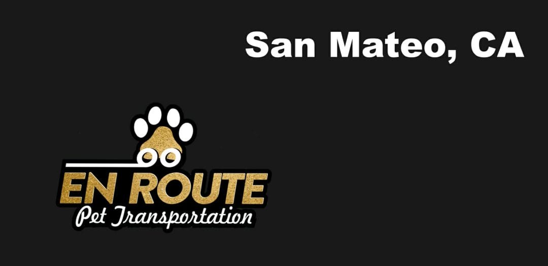 Best VIP private luxury pet ground transportation San Mateo, California.
