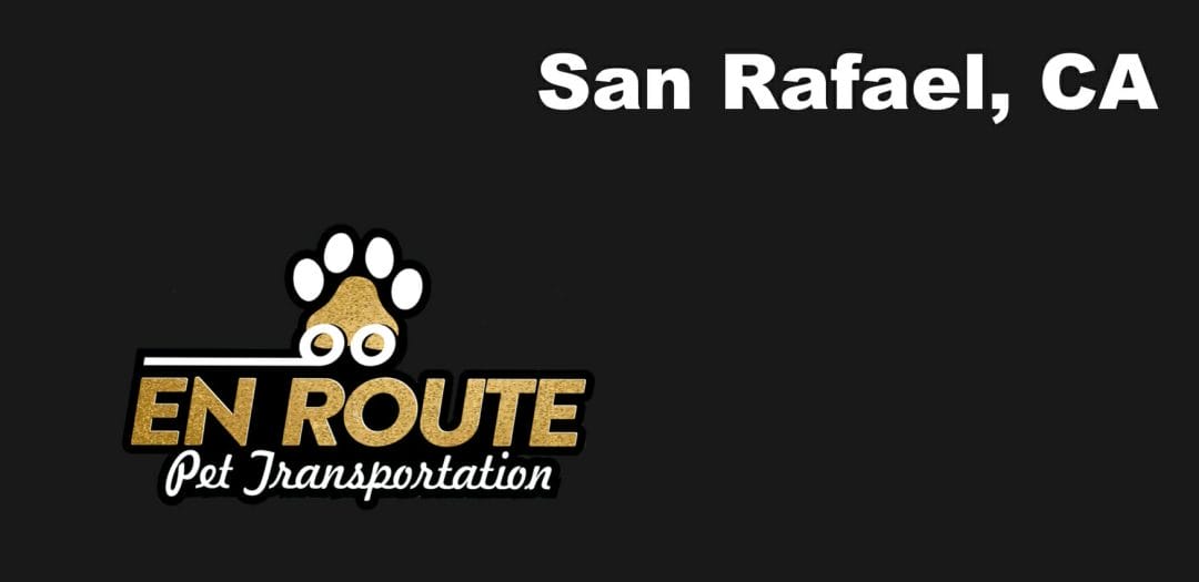 Best VIP private luxury pet ground transportation San Rafael, California.
