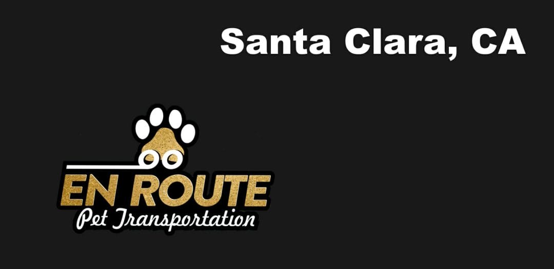Best VIP private luxury pet ground transportation Santa Clara, California.