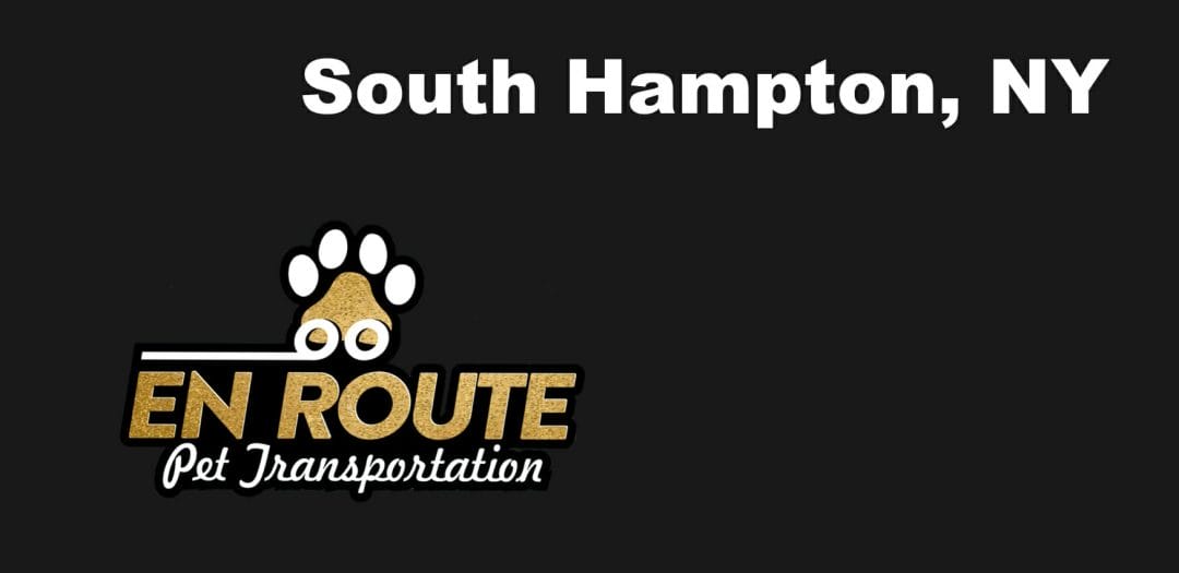 Best VIP private luxury pet ground transportation South Hampton, NY.