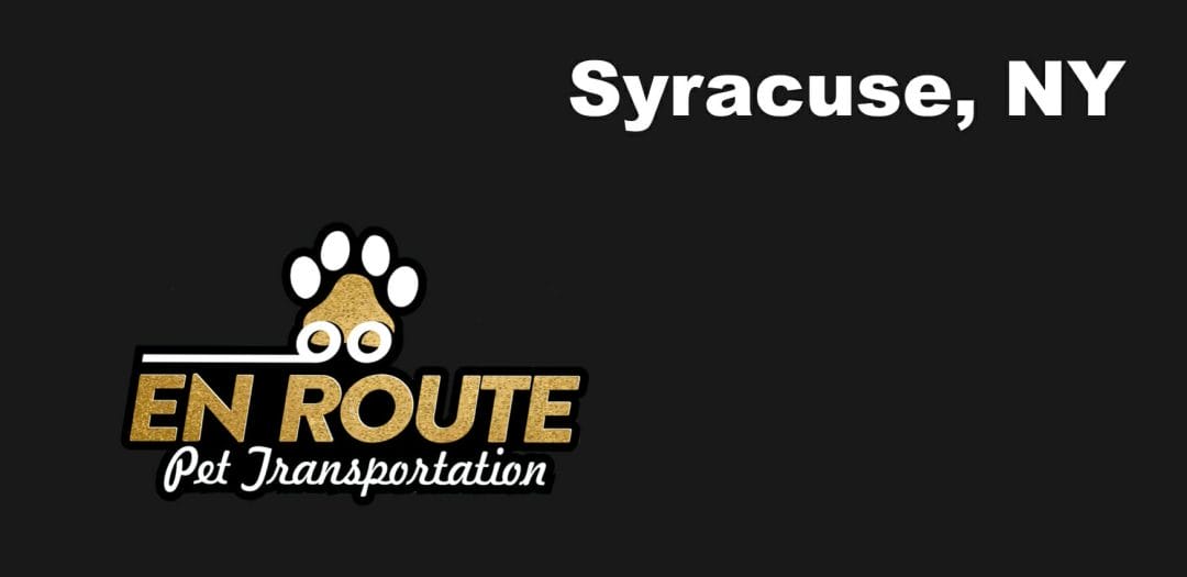 Best VIP private luxury pet ground transportation Syracuse, NY.