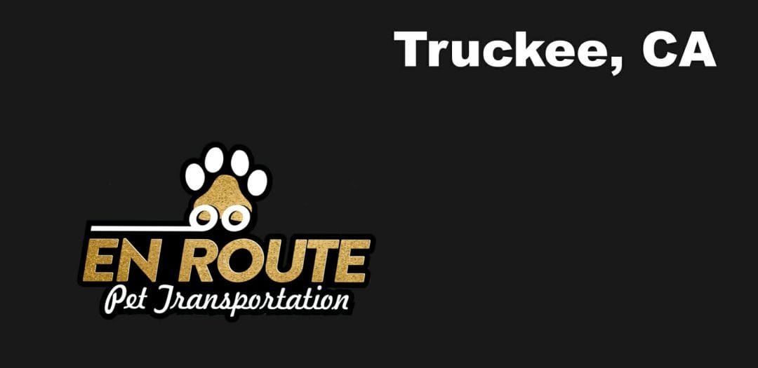 Best VIP private luxury pet ground transportation Truckee, California.