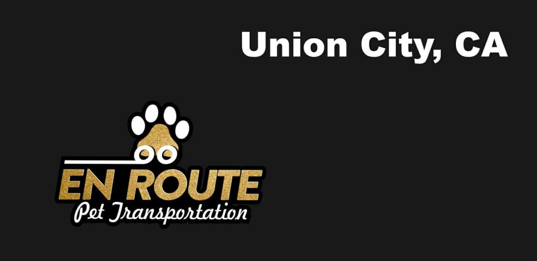 Best VIP private luxury pet ground transportation Union City, California.