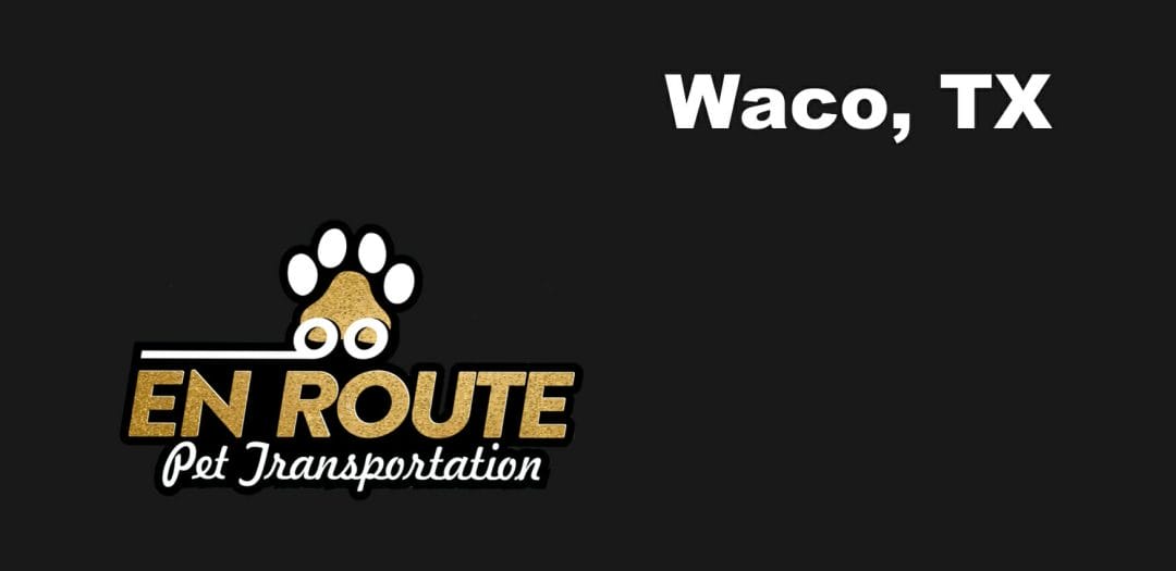 Best private pet ground transportation Waco, TX.