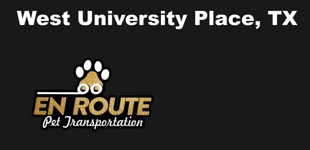 Best private pet ground transportation West University Place, TX.
