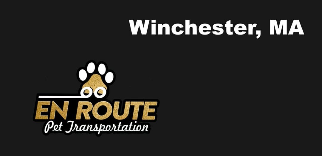 Best VIP private luxury pet ground transportation Winchester, MA.