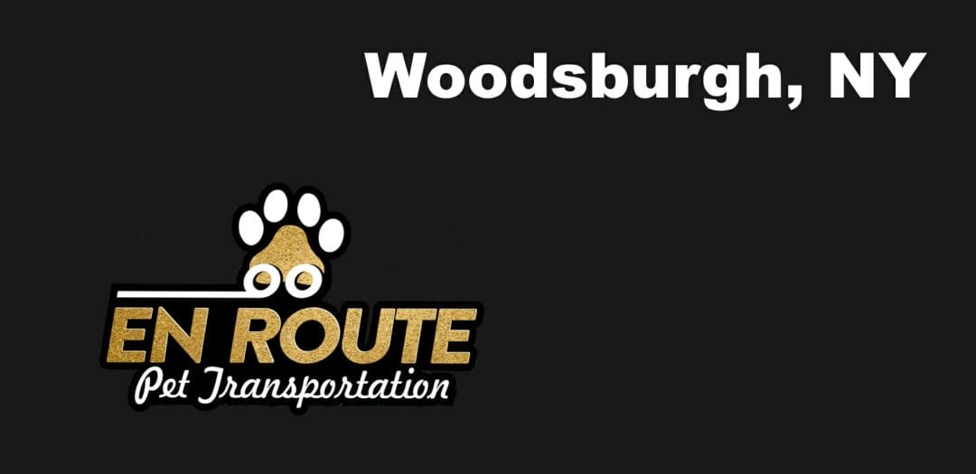 Best VIP private luxury pet ground transportation Woodsburgh, NY.