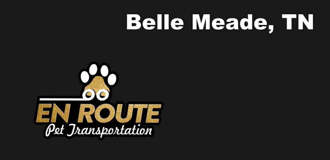 Best VIP private luxury pet ground transportation Belle Meade, TN.