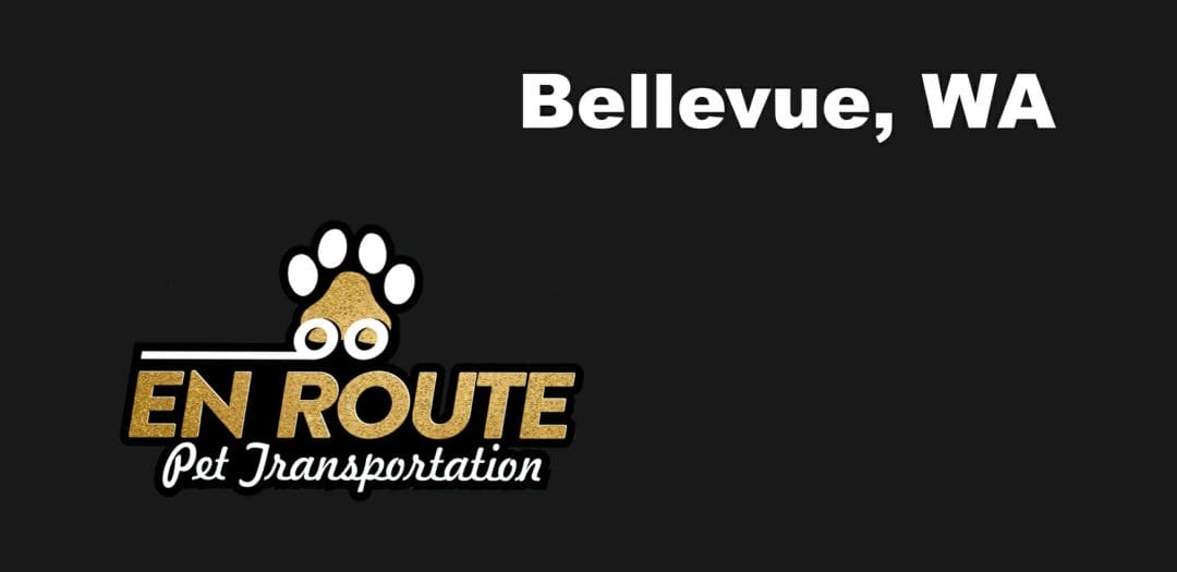 Best VIP private luxury pet ground transportation Bellevue, WA.