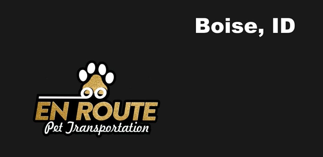 Best VIP private luxury pet ground transportation Boise, OK.