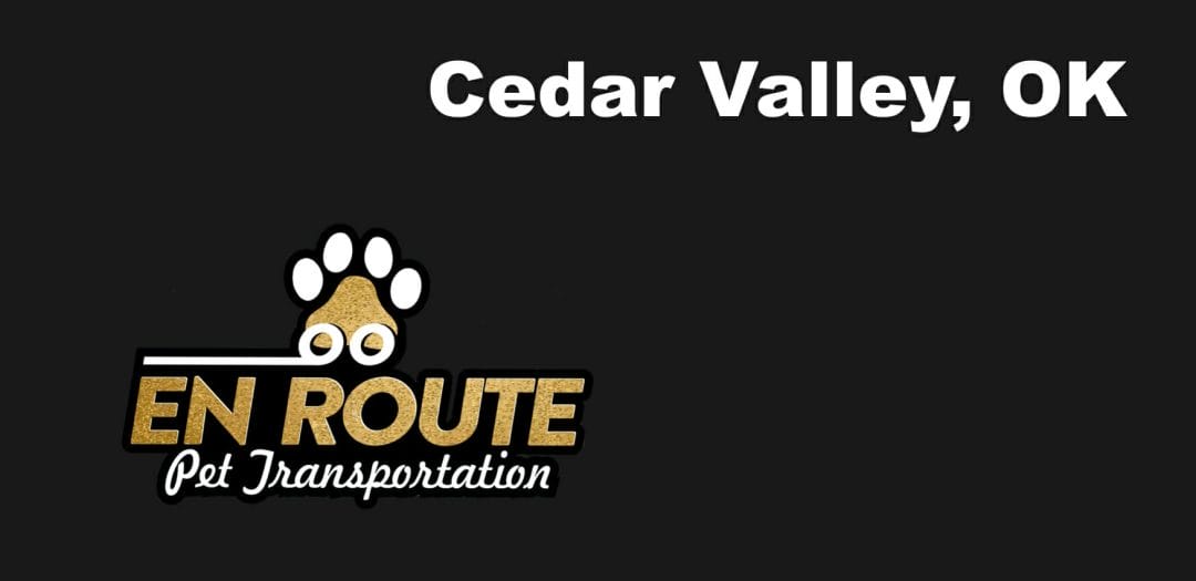 Best VIP private luxury pet ground transportation Cedar Valley, OK.