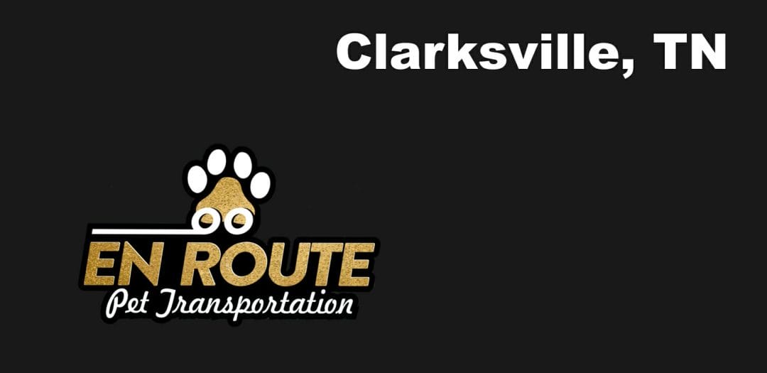 Best VIP private luxury pet ground transportation Clarksville, TN.