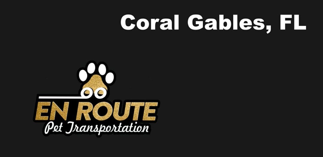 Best VIP private luxury pet ground transportation Coral Gables, FL.