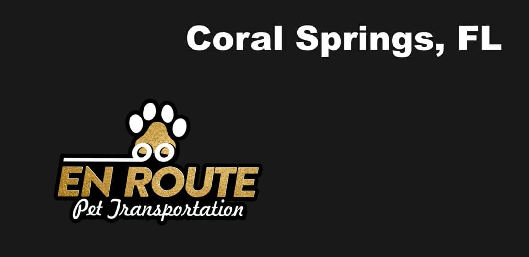 Best VIP private luxury pet ground transportation Coral Springs, FL.