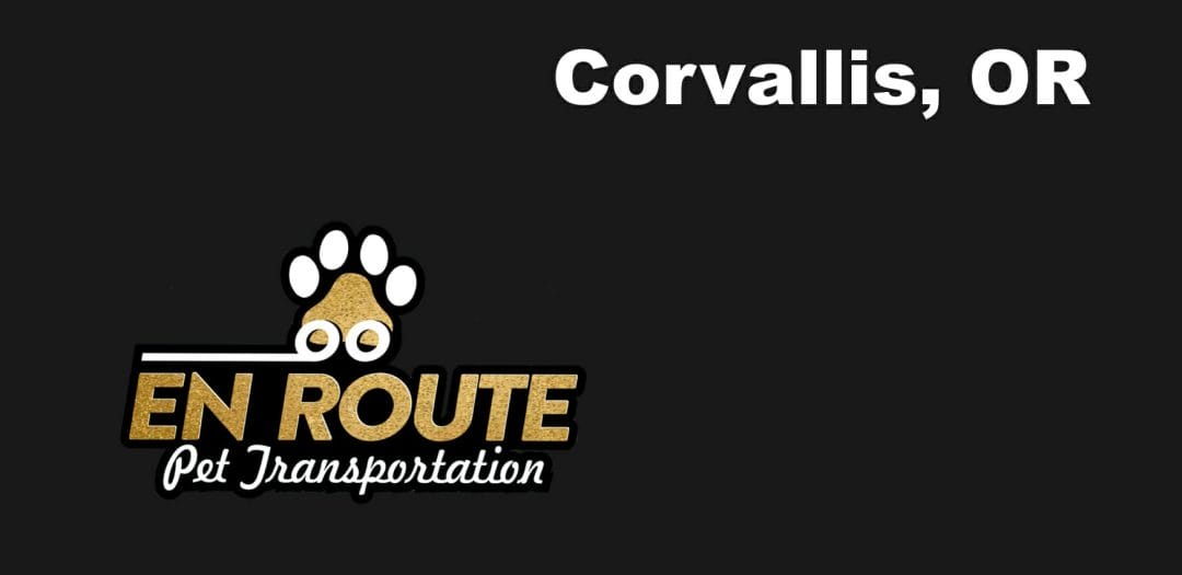 Best VIP private luxury pet ground transportation Corvallis, OR.
