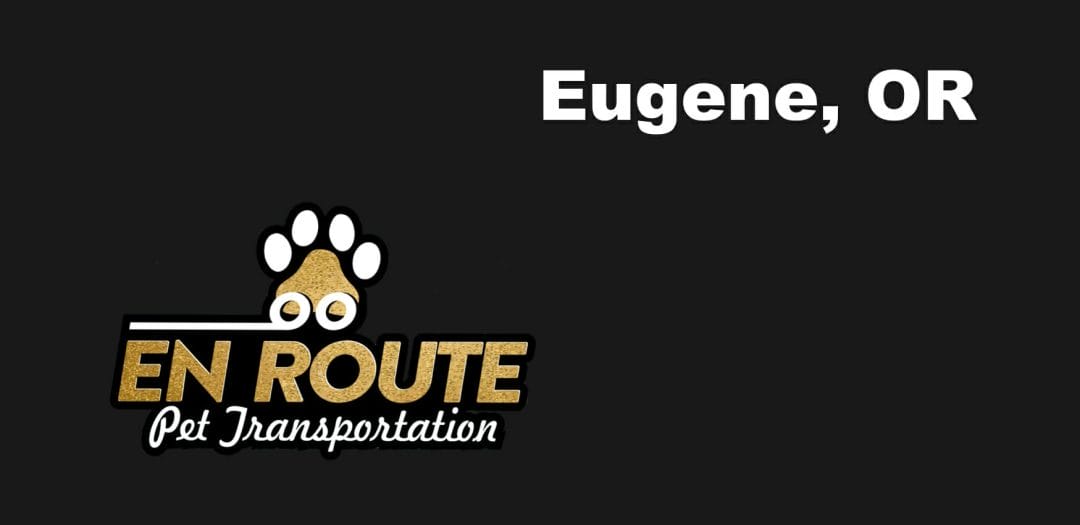 Best VIP private luxury pet ground transportation Eugene, OR.
