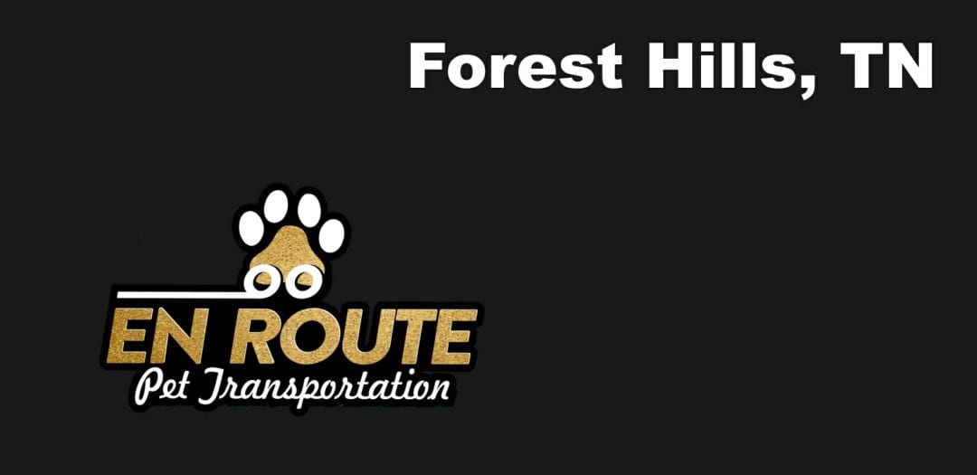 Best VIP private luxury pet ground transportation Forest Hills, TN.