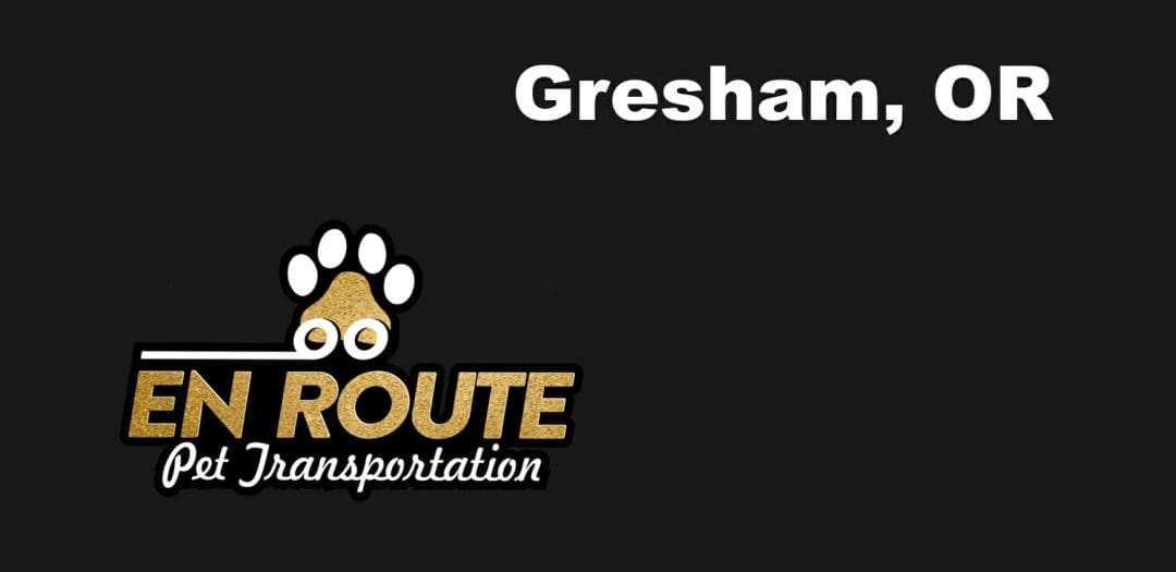 Best VIP private luxury pet ground transportation Gresham, OR.