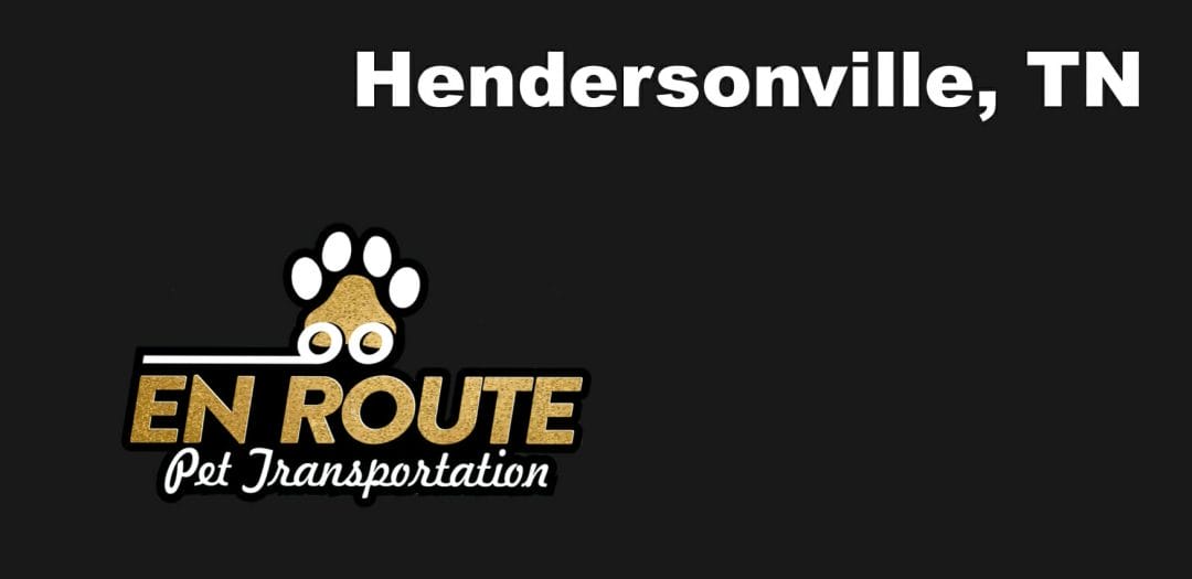 Best VIP private luxury pet ground transportation Hendersonville, TN.