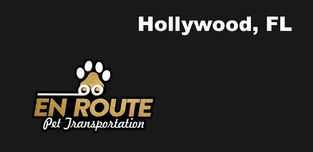 Best VIP private luxury pet ground transportation Hollywood, FL.