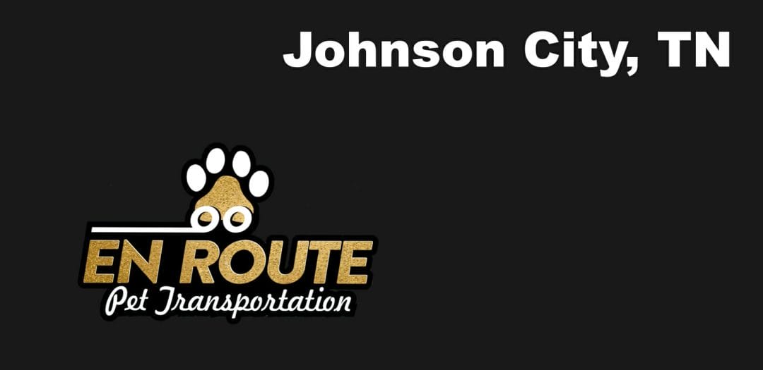Best VIP private luxury pet ground transportation Johnson City, TN.