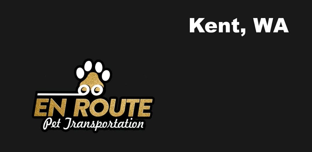 Best VIP private luxury pet ground transportation Kent, WA.