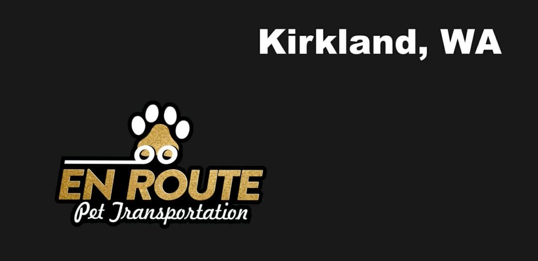 Best VIP private luxury pet ground transportation Kirkland, WA.