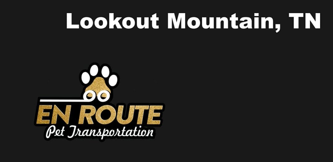 Best VIP private luxury pet ground transportation Lookout Mountain, TN.