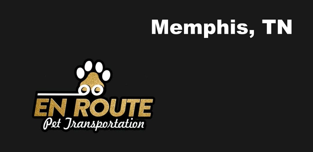Best VIP private luxury pet ground transportation Memphis, TN.