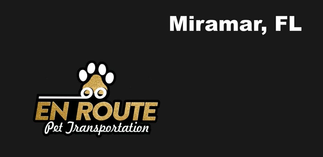 Best VIP private luxury pet ground transportation Miramar, FL.