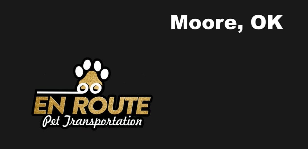 Best VIP private luxury pet ground transportation Moore, OK.