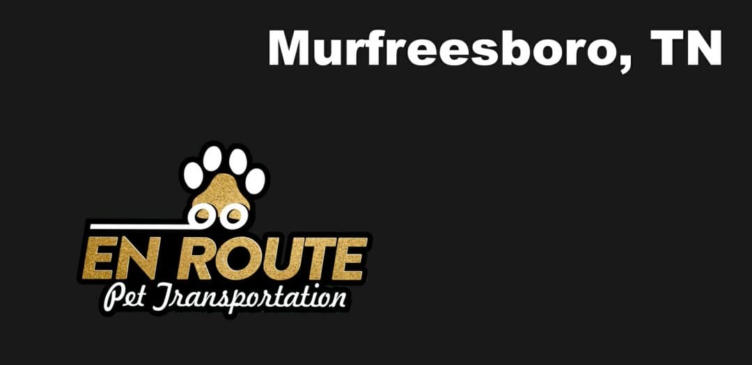 Best VIP private luxury pet ground transportation Murfreesboro, TN.