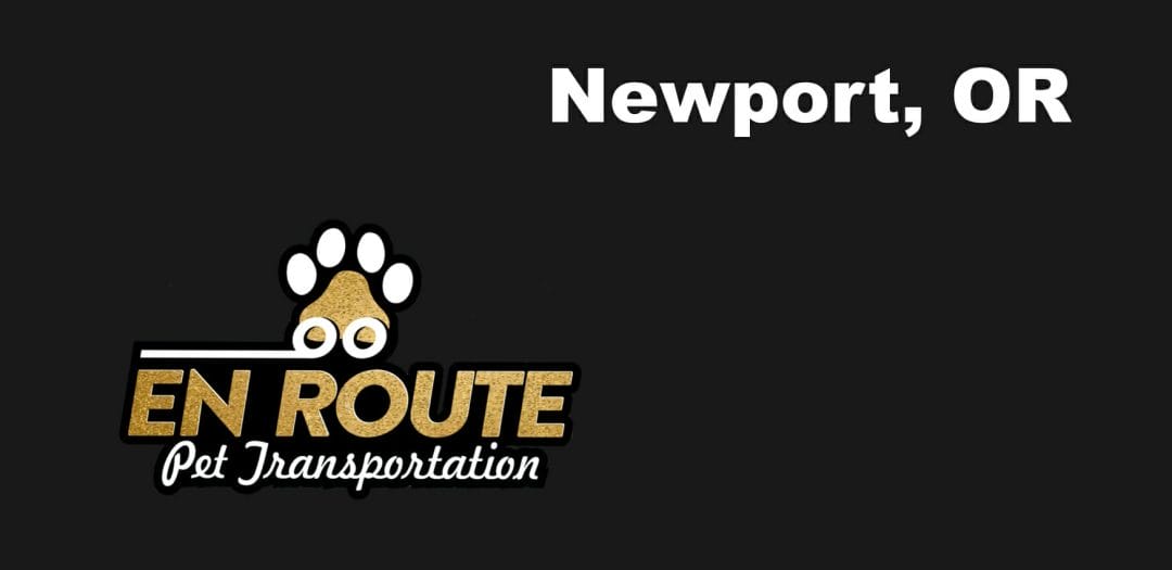Best VIP private luxury pet ground transportation Newport, OR.