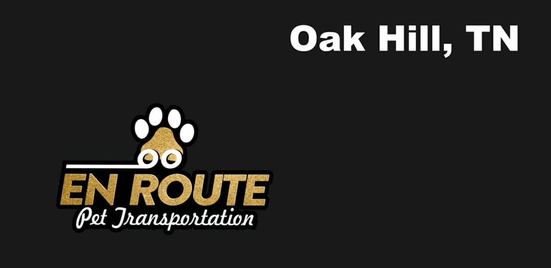 Best VIP private luxury pet ground transportation Oak Hill, TN.