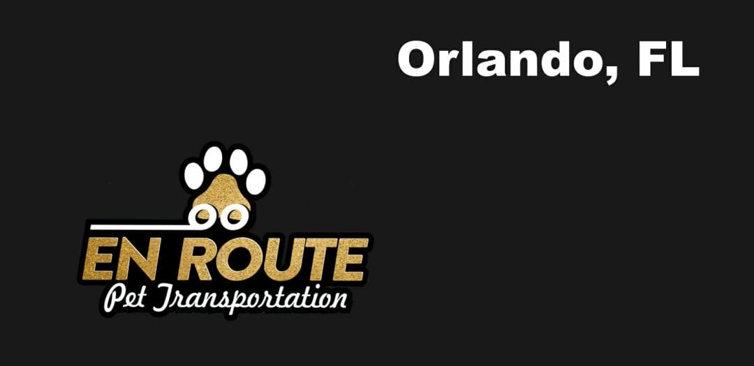 Best VIP private luxury pet ground transportation Orlando, FL.