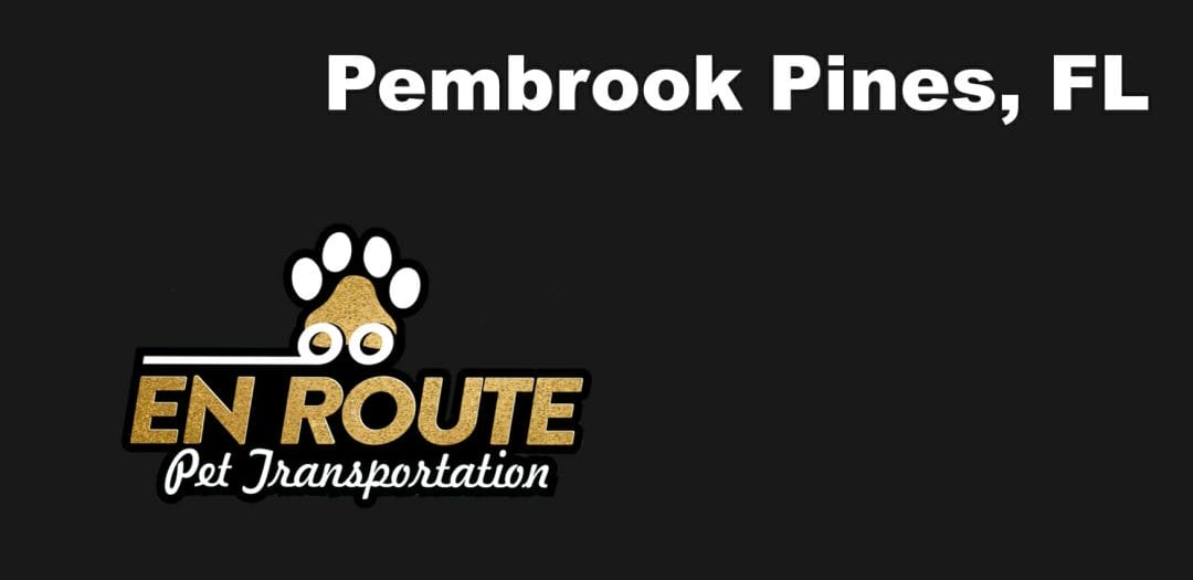 Best VIP private luxury pet ground transportation Pembrook Pines, FL.