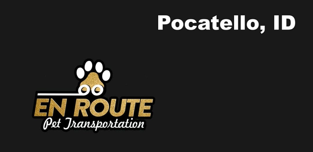 Best VIP private luxury pet ground transportation Pocatello, ID.