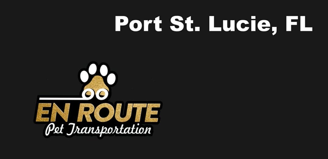 Best VIP private luxury pet ground transportation Port St. Lucie, FL.
