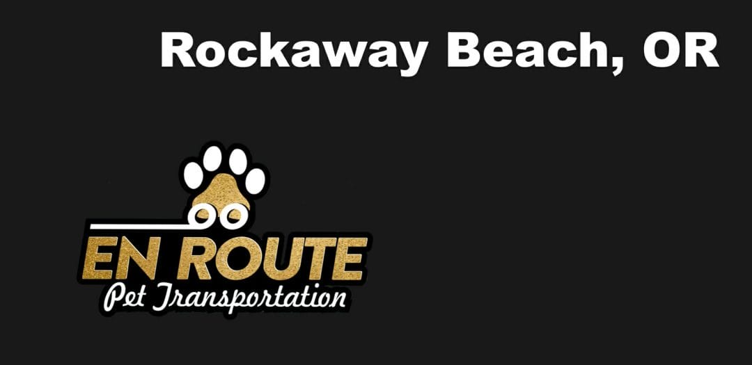 Best VIP private luxury pet ground transportation Rockaway Beach, OR.