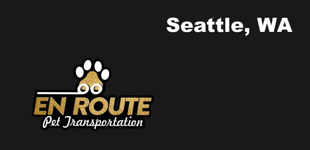 Best VIP private luxury pet ground transportation Seattle, WA.