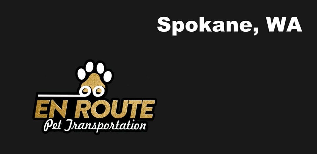 Best VIP private luxury pet ground transportation Spokane, WA.