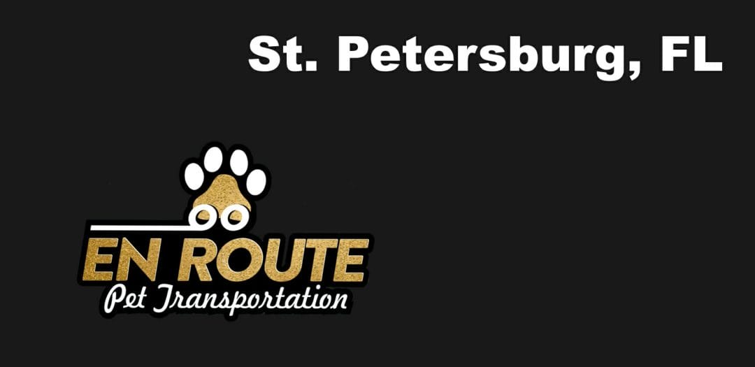 Best VIP private luxury pet ground transportation St. Petersburg, FL.