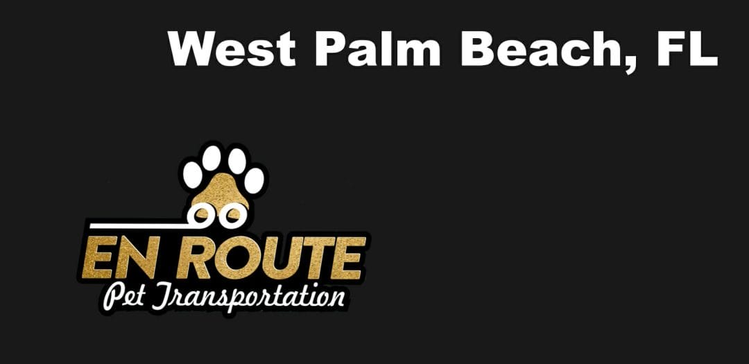 Best VIP private luxury pet ground transportation West Palm Beach, FL.