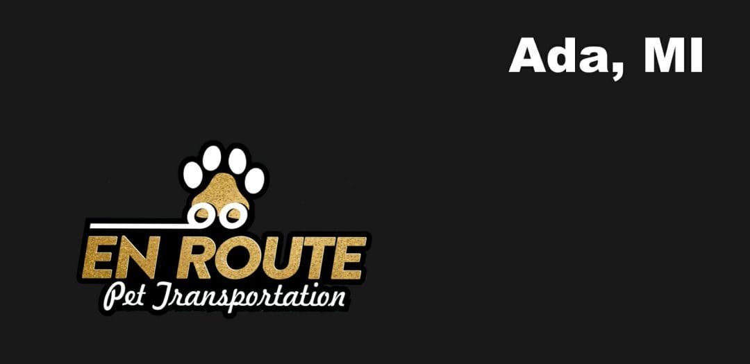 Best VIP Luxury Private Pet Ground Transportation in Ada, MI