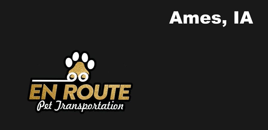 Best VIP private luxury pet ground transportation Ames, IA.