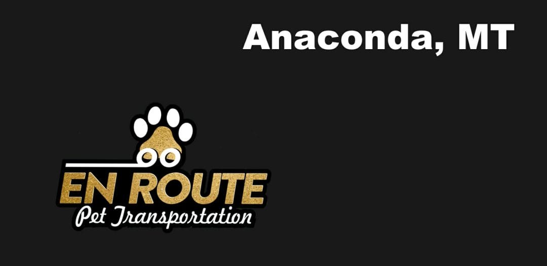 Best VIP private luxury pet ground transportation Anaconda, MT.