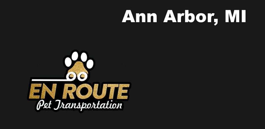 Best VIP Luxury Private Pet Ground Transportation in Ann Arbor, MI