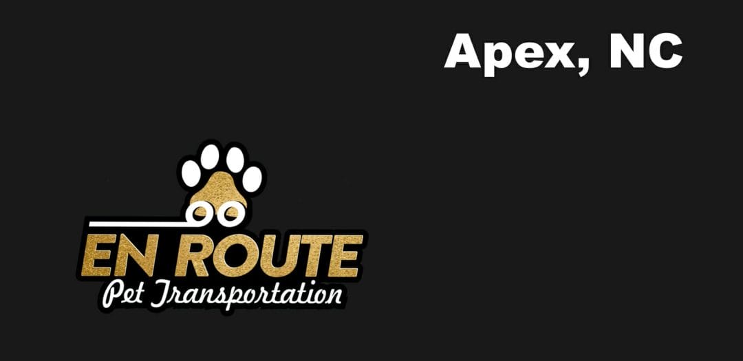 Best VIP private luxury pet ground transportation Apex, NC.